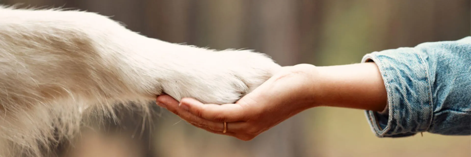Compassion For Every Creature